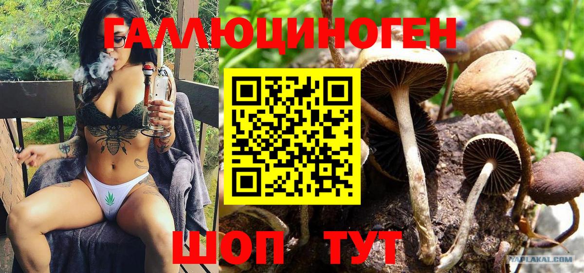 Псилоцибиновые грибы мицелий  Вход с VPN  Миллерово 